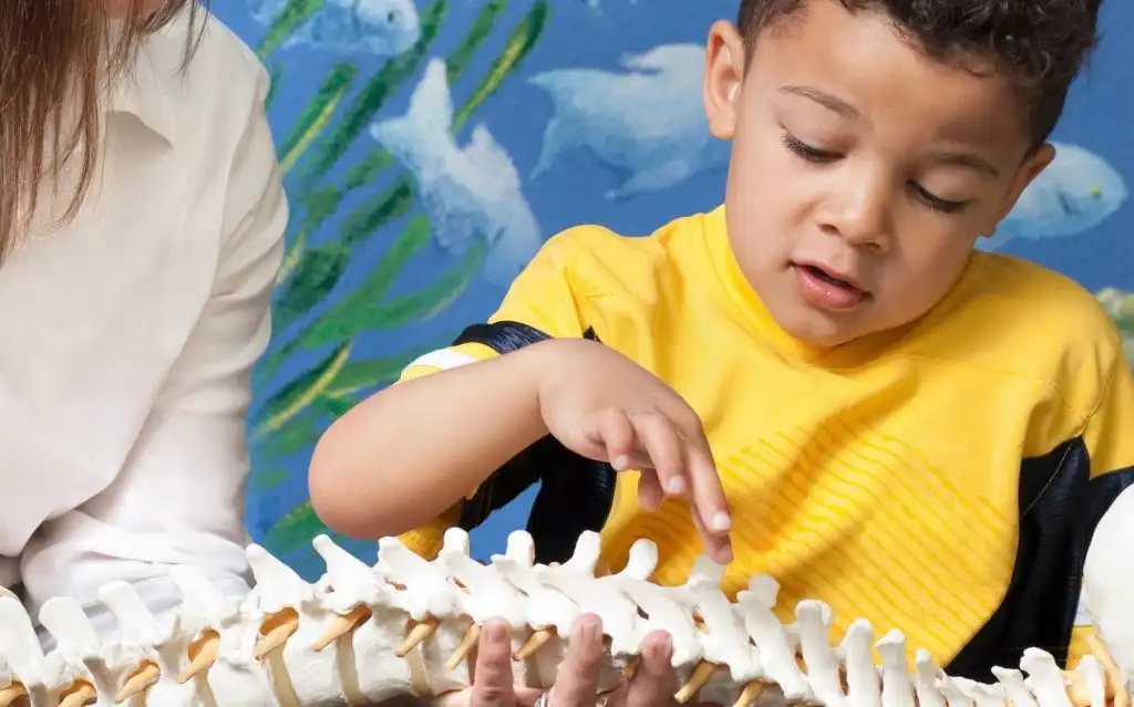 ADD/ADHD Support Through Neurologically-Focused Chiropractic in Omaha